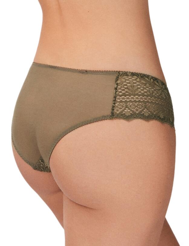 Empreinte Cassipoee Brief Lichen