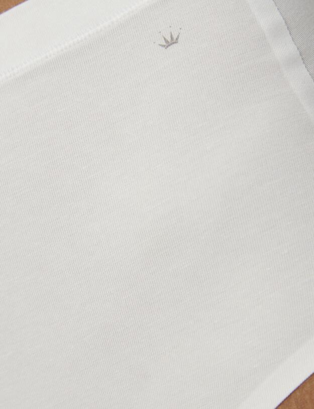 Triumph Smart Natural Maxi Brief White