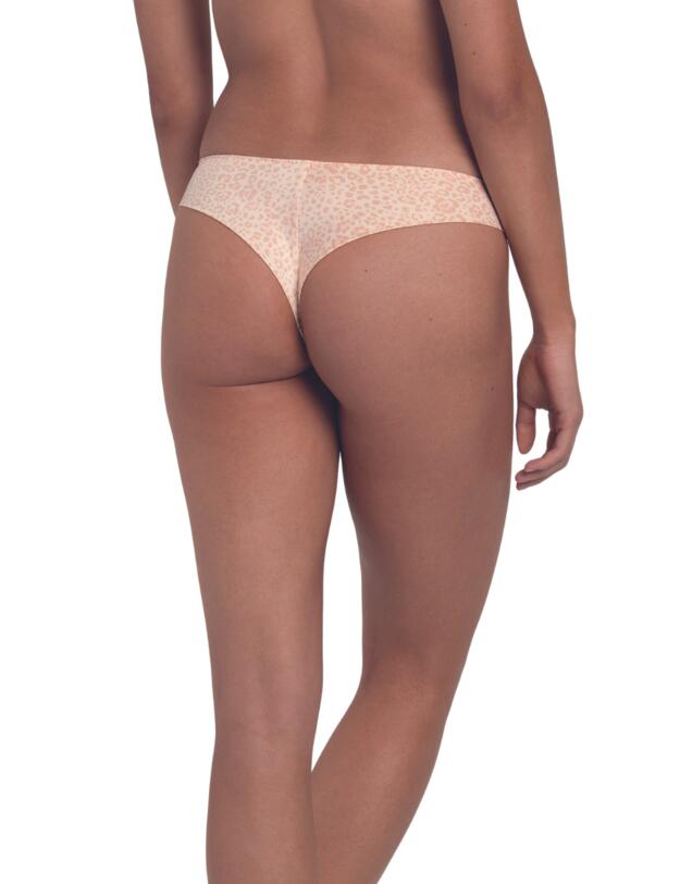 Rosa Faia Joy Shorty Smart Rose