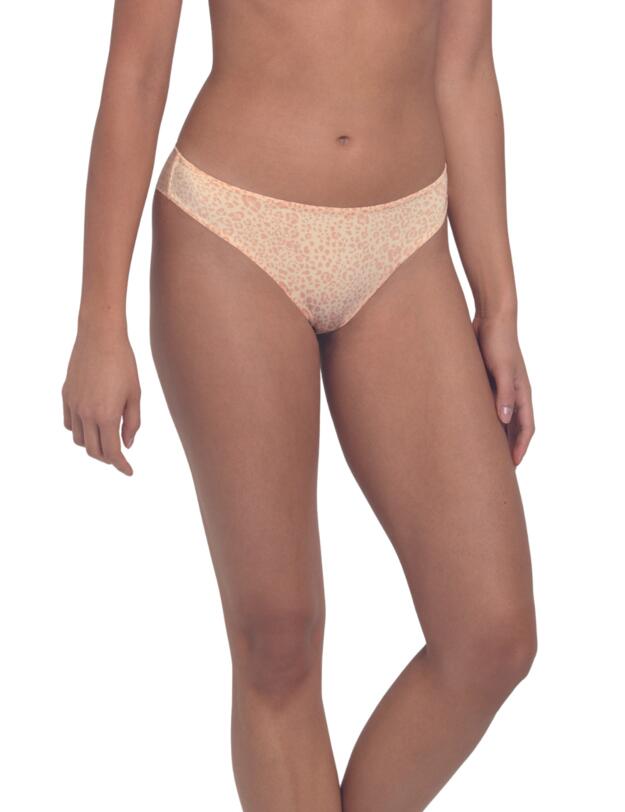 Rosa Faia Joy Shorty Smart Rose