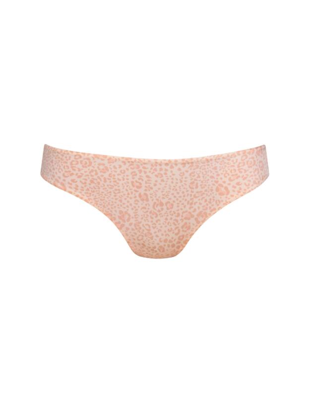 Rosa Faia Joy Shorty Smart Rose