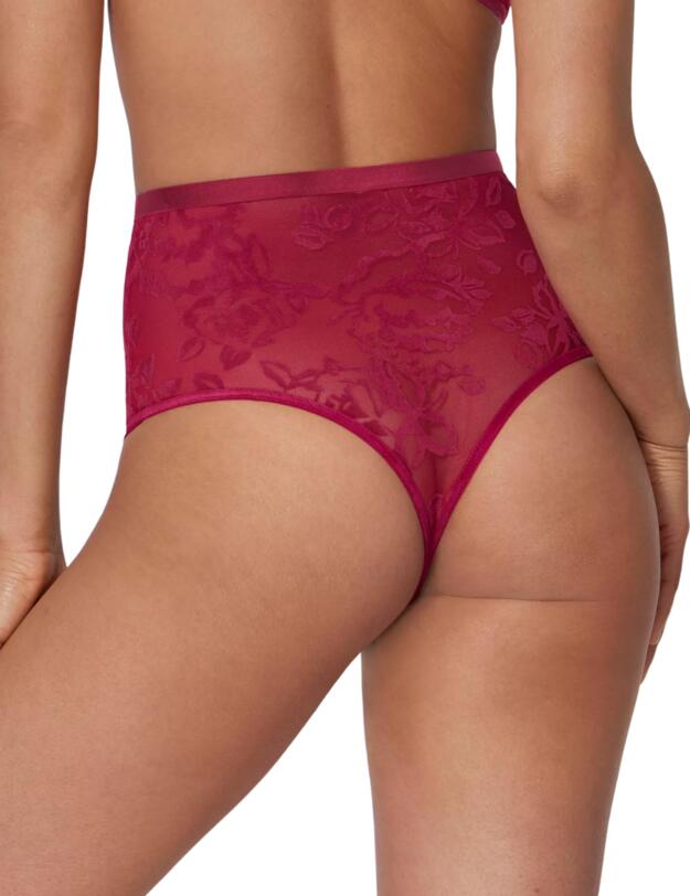 Triumph Velvet Rose Spotlight Thong Briefs Rosso Masai