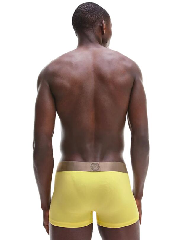 Calvin Klein Mens Icon Low Rise Trunks Mesquite Lime