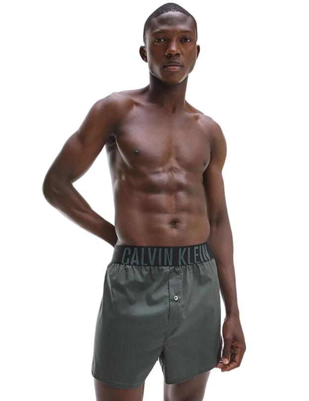 Calvin Klein Mens Intense Power Boxer Slim 2 Pack New Slate/ Providence Blue