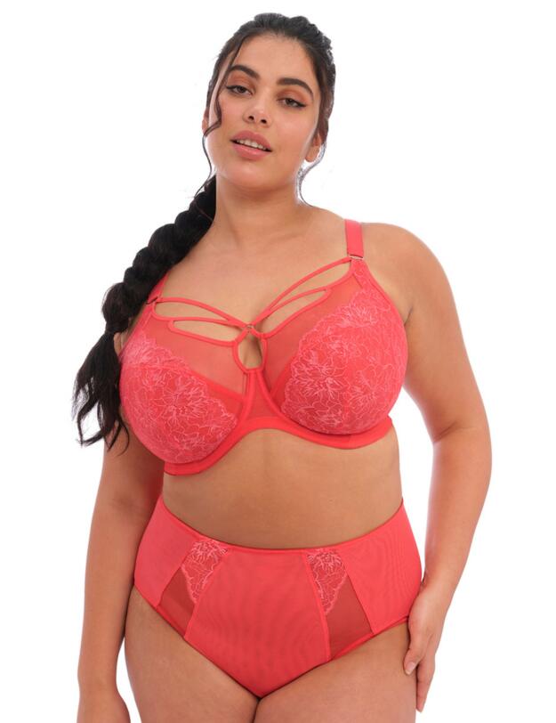 Elomi Brianna Plunge Bra Cayenne
