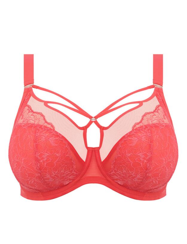 Elomi Brianna Plunge Bra Cayenne