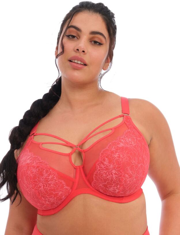 Elomi Brianna Plunge Bra Cayenne