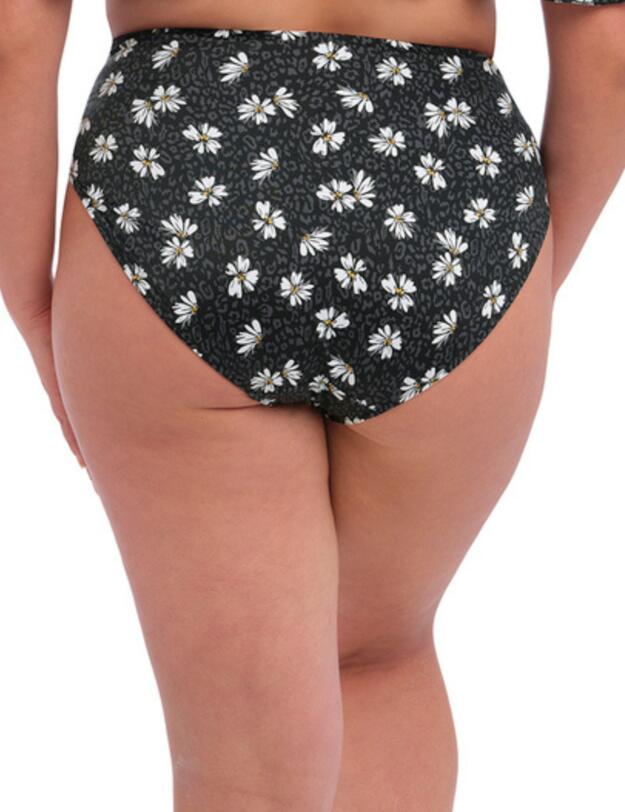 Elomi Plain Sailing Bikini Brief Black Daisy 