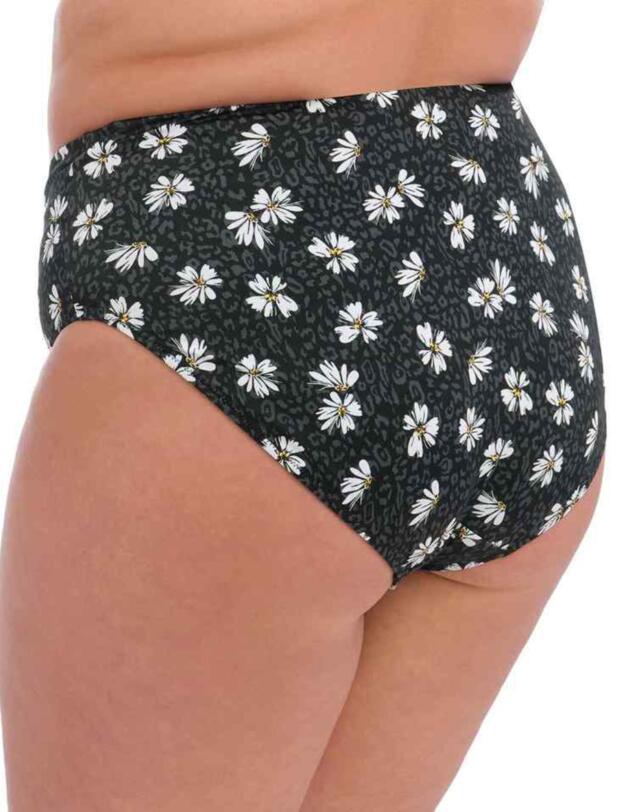 Elomi Plain Sailing Bikini Brief Black Daisy 