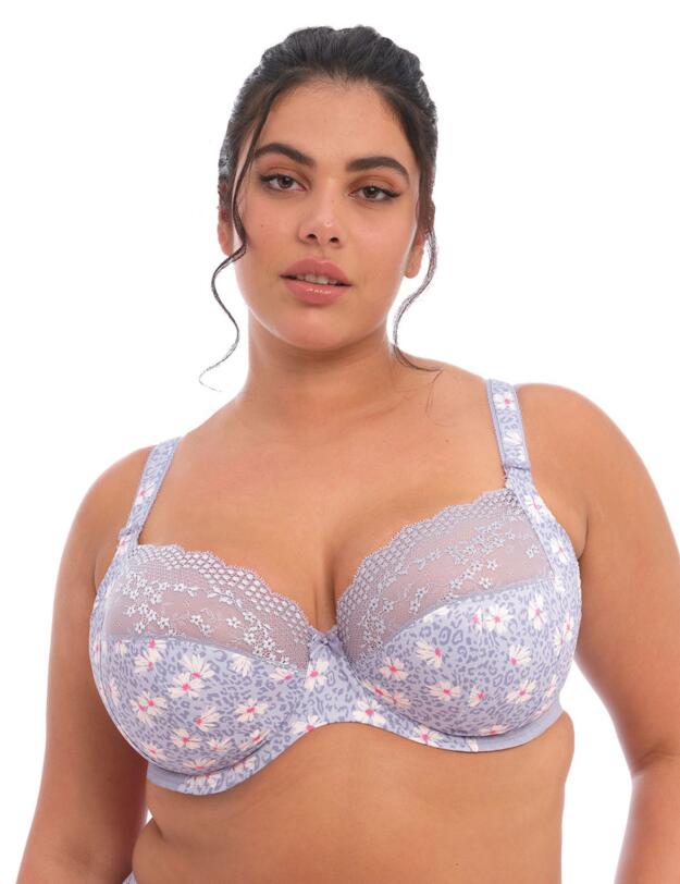 Elomi Lucie Plunge Bra Aleutian