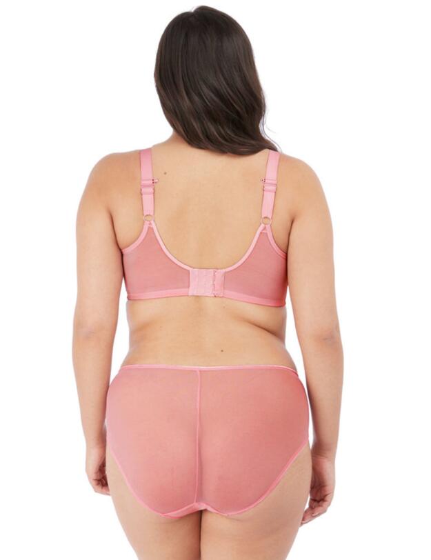 Elomi Matilda Brief Rose
