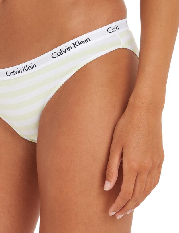 Calvin Klein Carousel Bikini Brief Rainer Stripe Spring