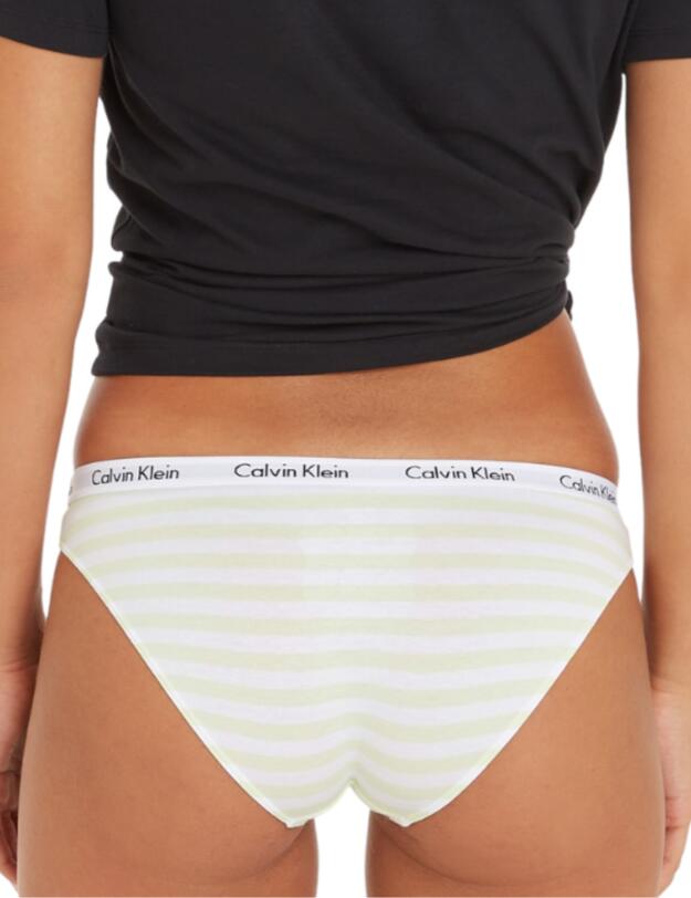 Calvin Klein Carousel Bikini Brief Rainer Stripe Spring