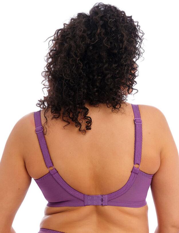 Elomi Charley Moulded Bra Pansy