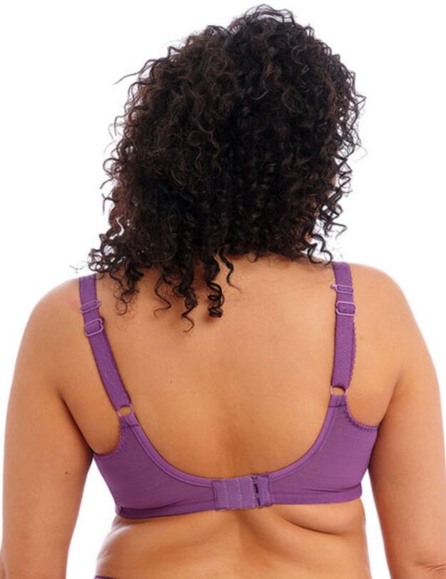 Elomi Charley Full Cup Bra Pansy