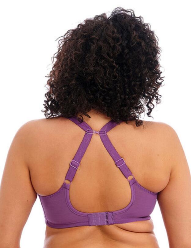 Elomi Charley Full Cup Bra Pansy