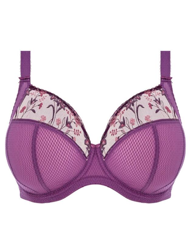 Elomi Charley Full Cup Bra Pansy