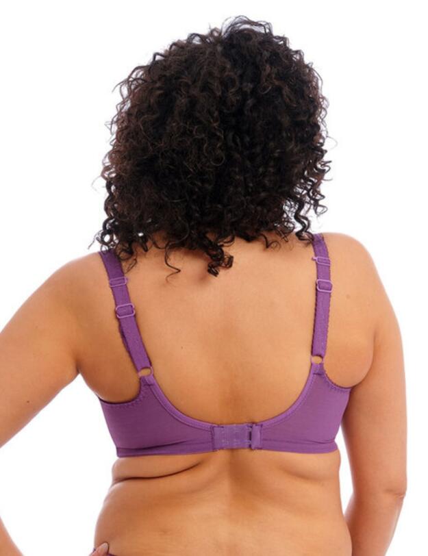 Elomi Charley Full Cup Bra Pansy