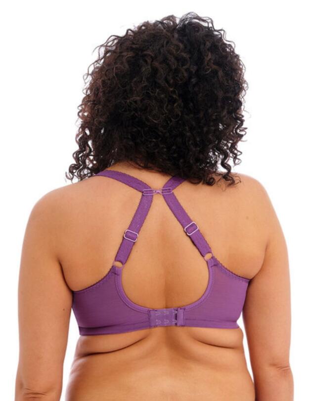 Elomi Charley Full Cup Bra Pansy