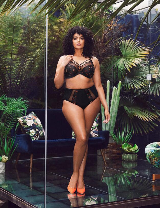 Elomi Sachi Full Cup Bra Black Butterfly