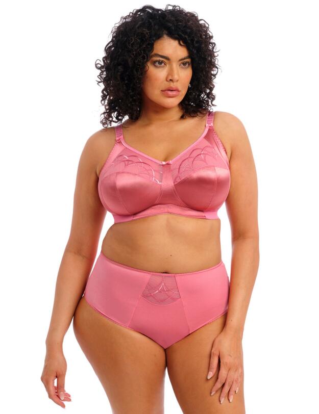  Elomi Cate High Waist Brief Desert Rose