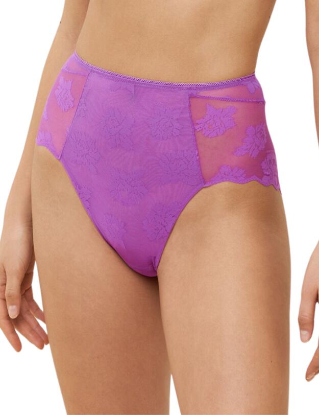 Triumph Amourette 300 Summer High Waist Brief Blueberry Cream
