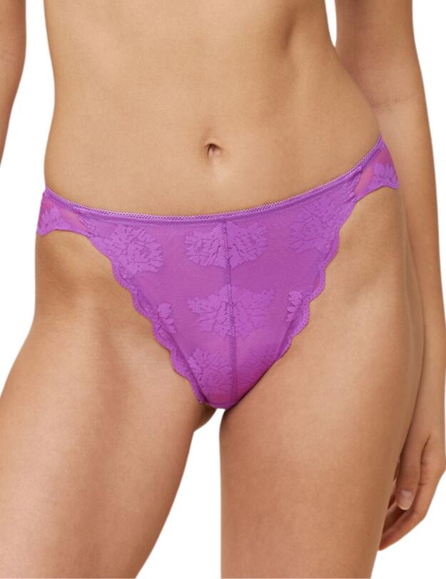 Triumph Amourette 300 Summer Brazilian Briefs Blueberry Cream