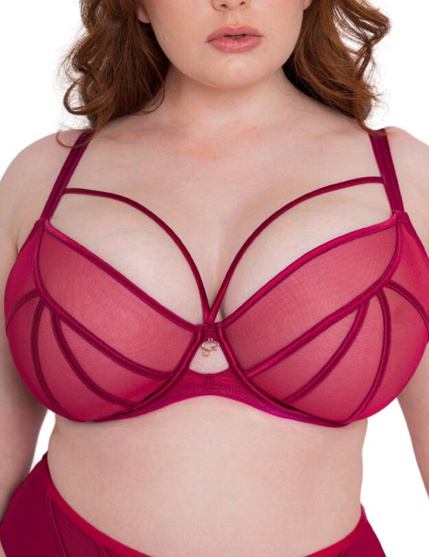 Scantilly by Curvy Kate Senses Plunge Bra Cherry