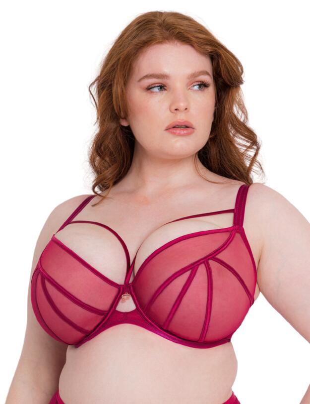 Scantilly by Curvy Kate Senses Plunge Bra Cherry