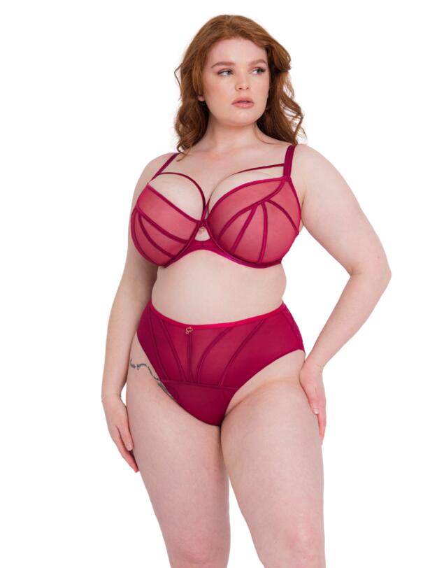 Scantilly by Curvy Kate Senses High Waist Brief Cherry