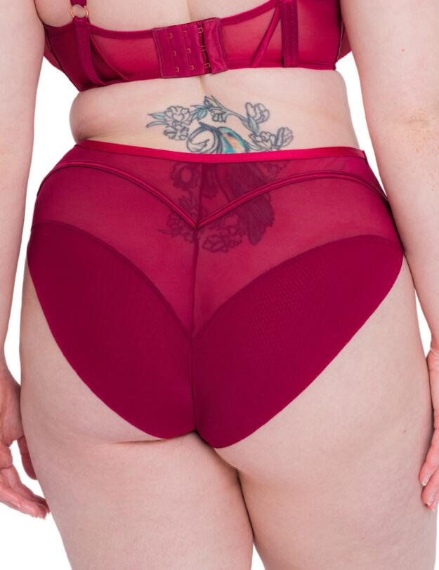Scantilly by Curvy Kate Senses High Waist Brief Cherry