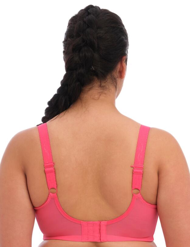 Elomi Charley Stretch Plunge Bra Honeysuckle 