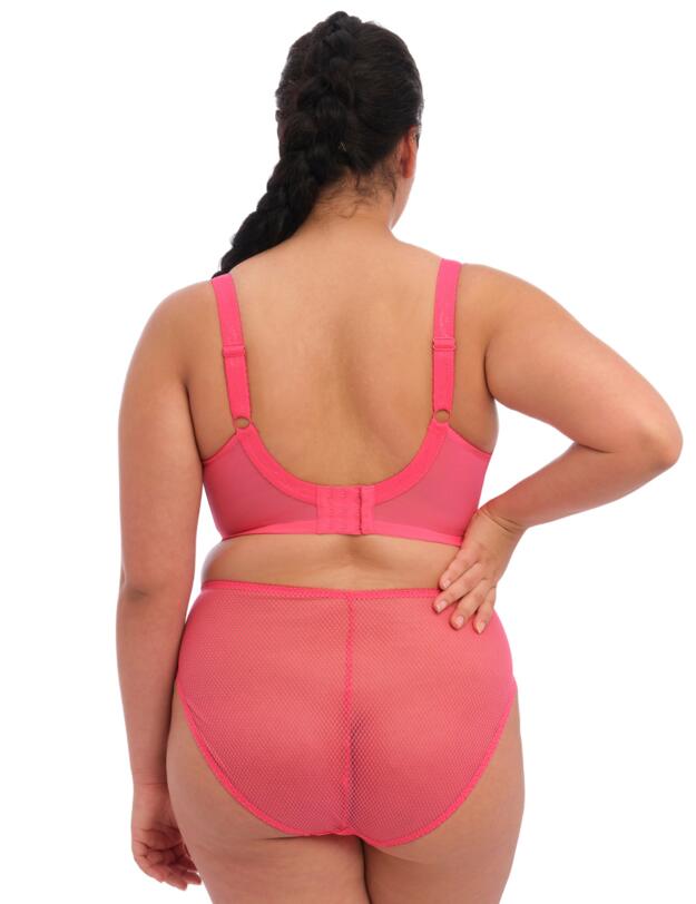  Elomi Charley High Leg Brief Honeysuckle