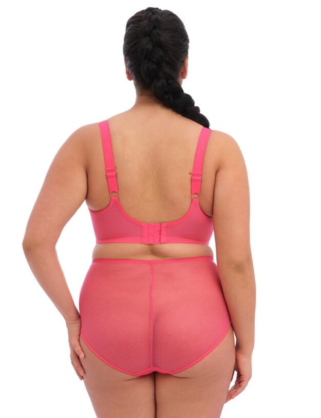  Elomi Charley Full Brief Honeysuckle