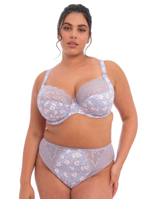 Elomi Lucie High Leg Brief Aleutian