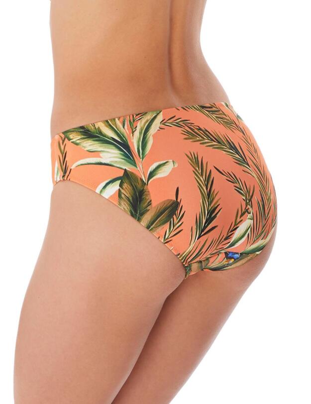 Freya Birds in Paradise Bikini Brief Cantaloupe