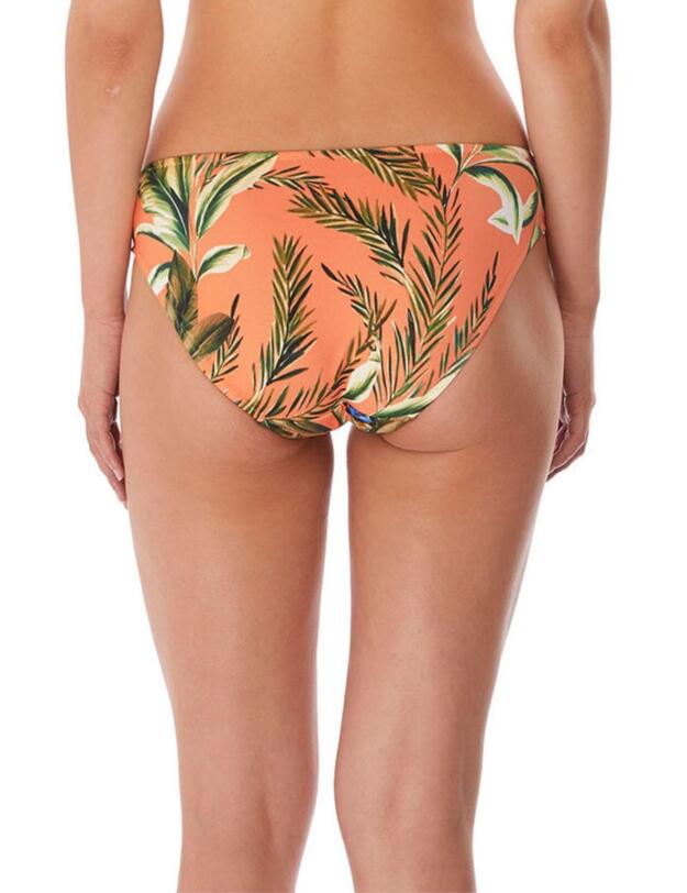 Freya Birds in Paradise Bikini Brief Cantaloupe