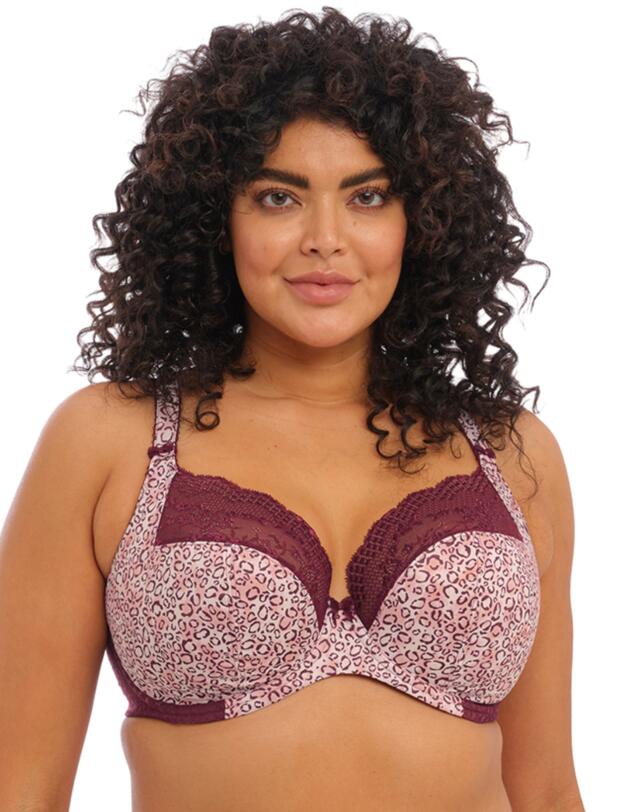  Elomi Lucie Plunge Bra Wild Thing
