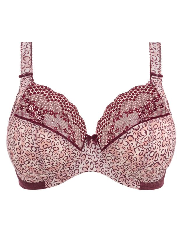  Elomi Lucie Plunge Bra Wild Thing