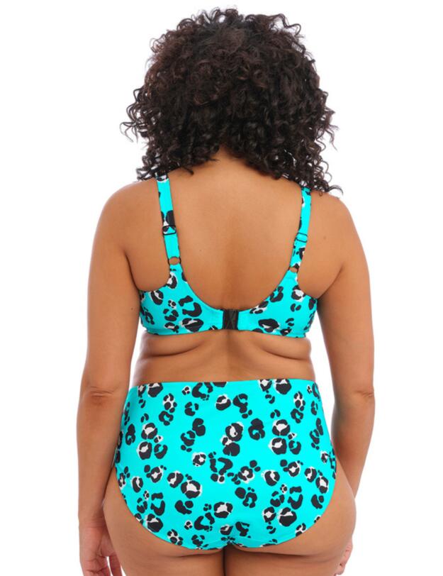  Elomi Kotiya Mid Rise Bikini Brief Lagoon 