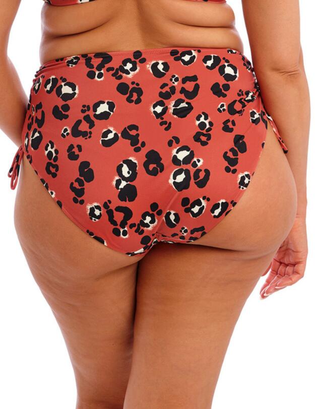 Elomi Kotiya Bikini Brief Terracotta