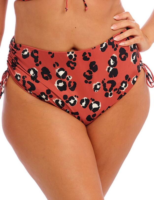 Elomi Kotiya Bikini Brief Terracotta