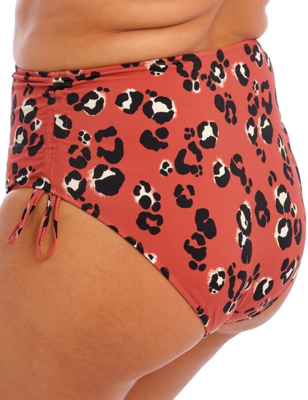 Elomi Kotiya Bikini Brief Terracotta