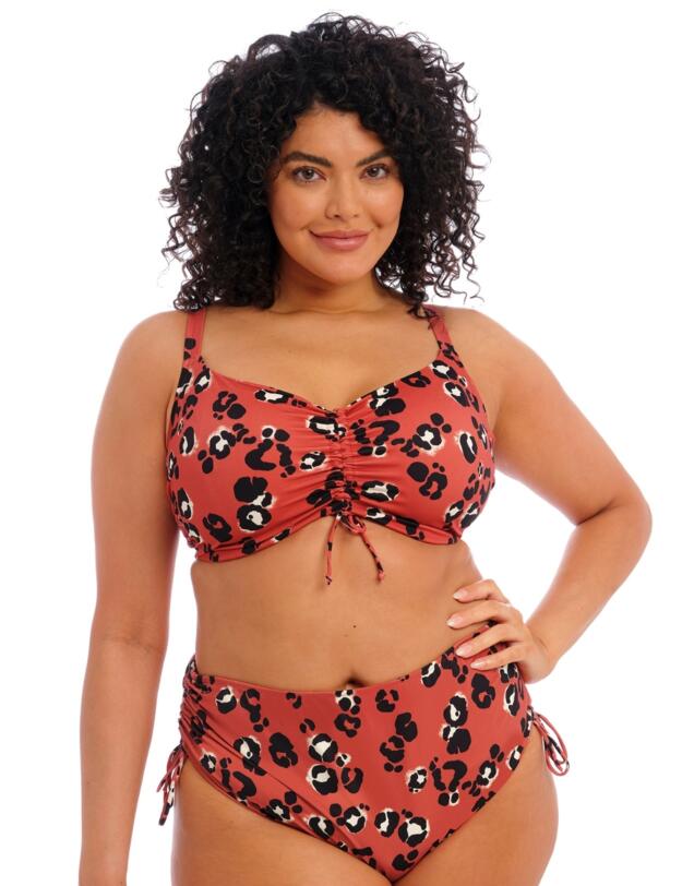 Elomi Kotiya Bikini Brief Terracotta