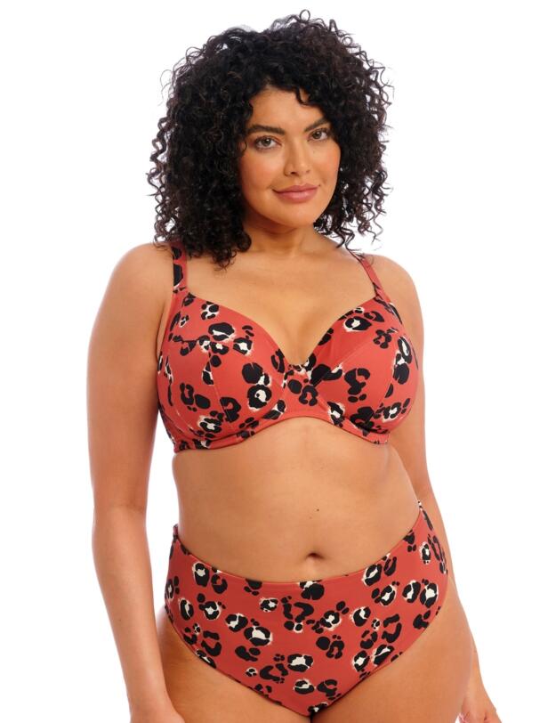 Elomi Kotiya Mid Rise Bikini Brief  Terracotta