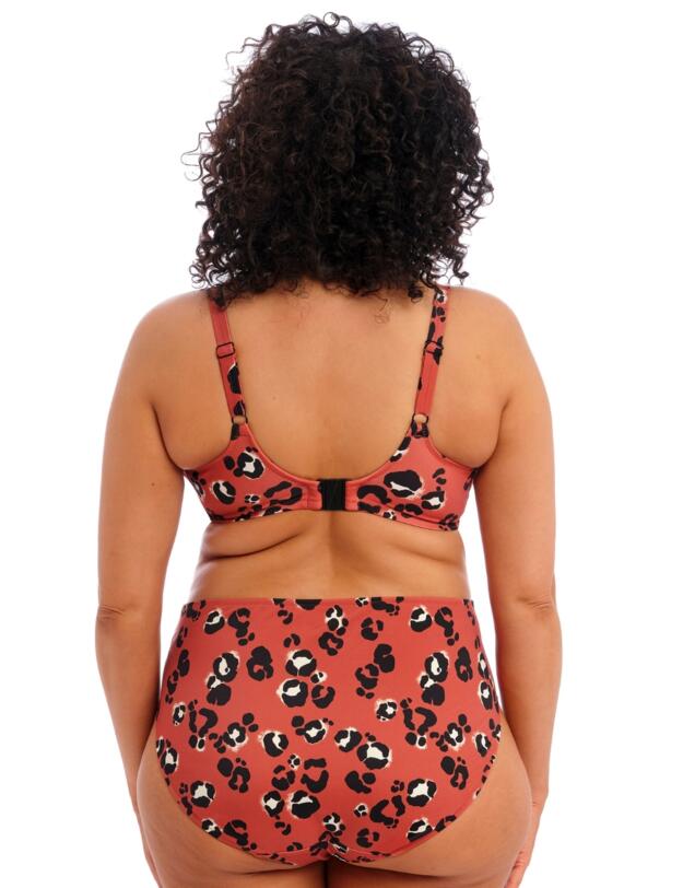 Elomi Kotiya Mid Rise Bikini Brief  Terracotta