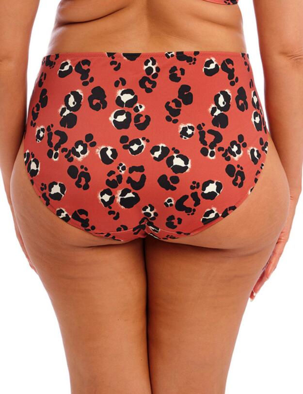 Elomi Kotiya Mid Rise Bikini Brief  Terracotta