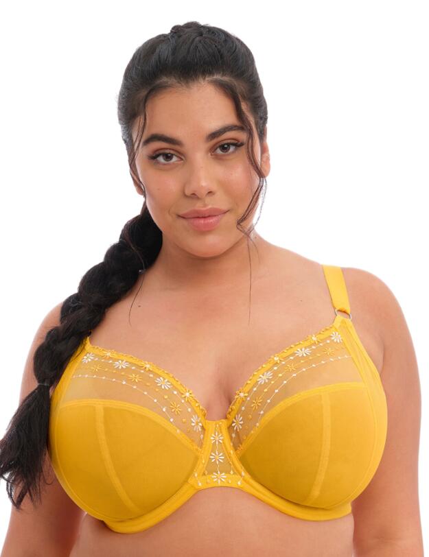 Elomi Matilda Plunge Bra Daisy