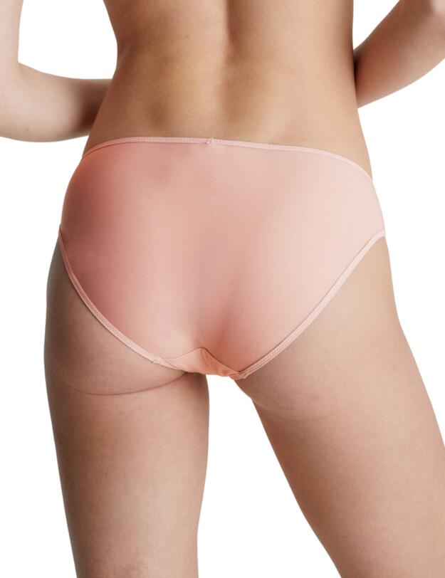 Calvin Klein Sheer Marquisette Bikini Brief Subdued