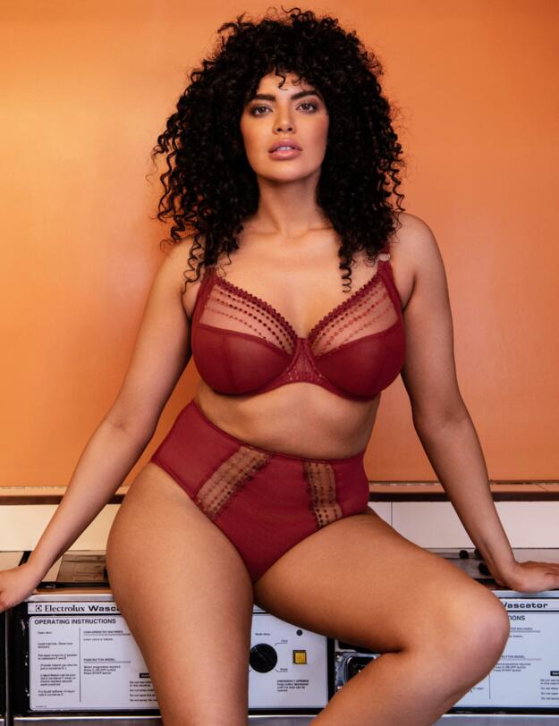 Elomi Matilda Plunge Bra Crimson